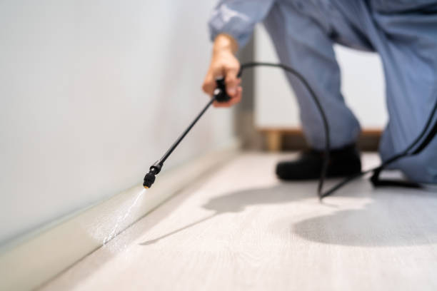 Certified termite inspector examining foundation in Sudley